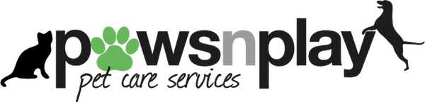 Paws 'n' Play Pet Care Services
